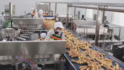 希望的田野 吉林預制菜產業駛入發展快車道
