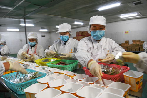 貴州麻江 食品企業創新發展促就業助增收